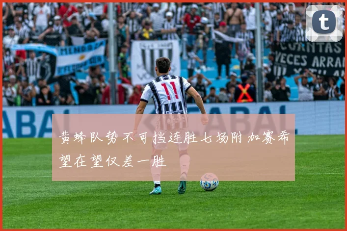 黄蜂队势不可挡连胜七场附加赛希望在望仅差一胜